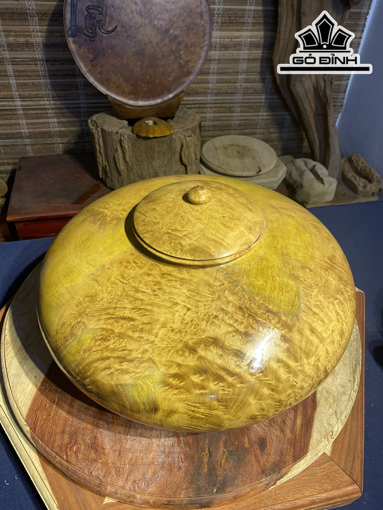 Chum Phú Quý Gỗ Nu Kháo Cao 20 Đường Kính 40 (cm)