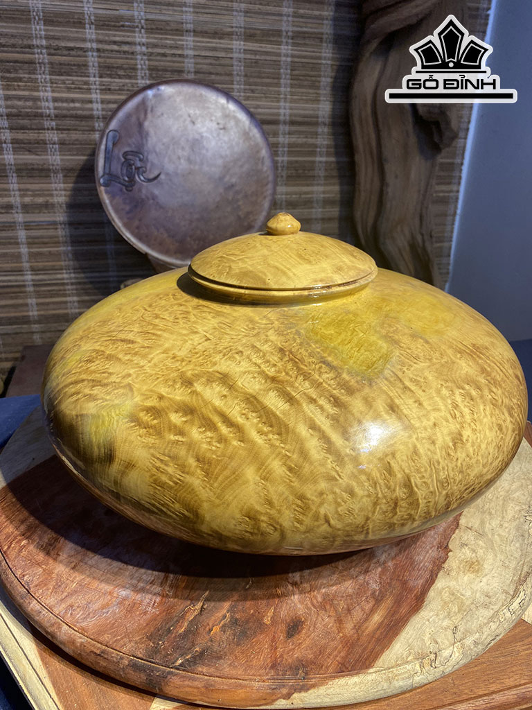 Chum Phú Quý Gỗ Nu Kháo Cao 20 Đường Kính 40 (cm)