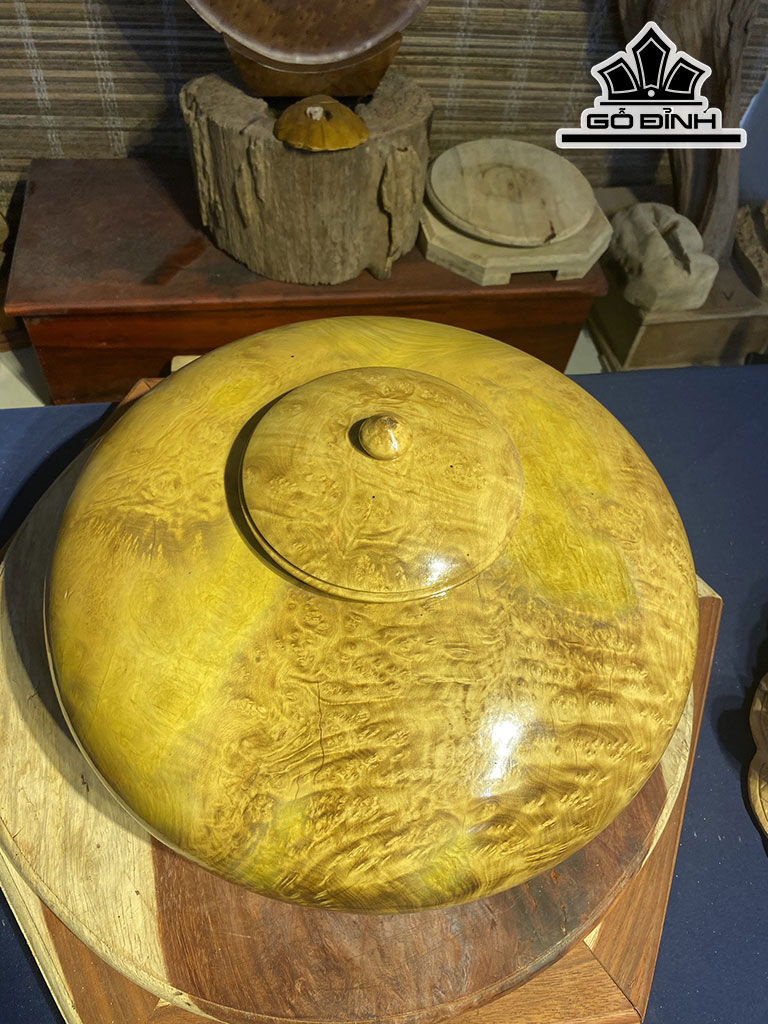 Chum Phú Quý Gỗ Nu Kháo Cao 20 Đường Kính 40 (cm)