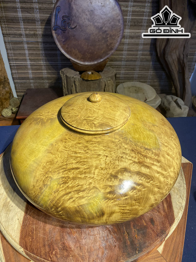 Chum Phú Quý Gỗ Nu Kháo Cao 20 Đường Kính 40 (cm)