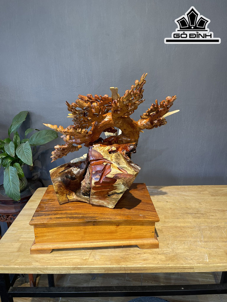 Cây Hoa Mai Gỗ Hương Cao 48 Ngang 50 Sâu 30 (cm)