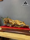 Tượng Hổ Phong Thủy Gỗ Bách Xanh Ngang 45 Cao 14 Sâu 15 (cm)
