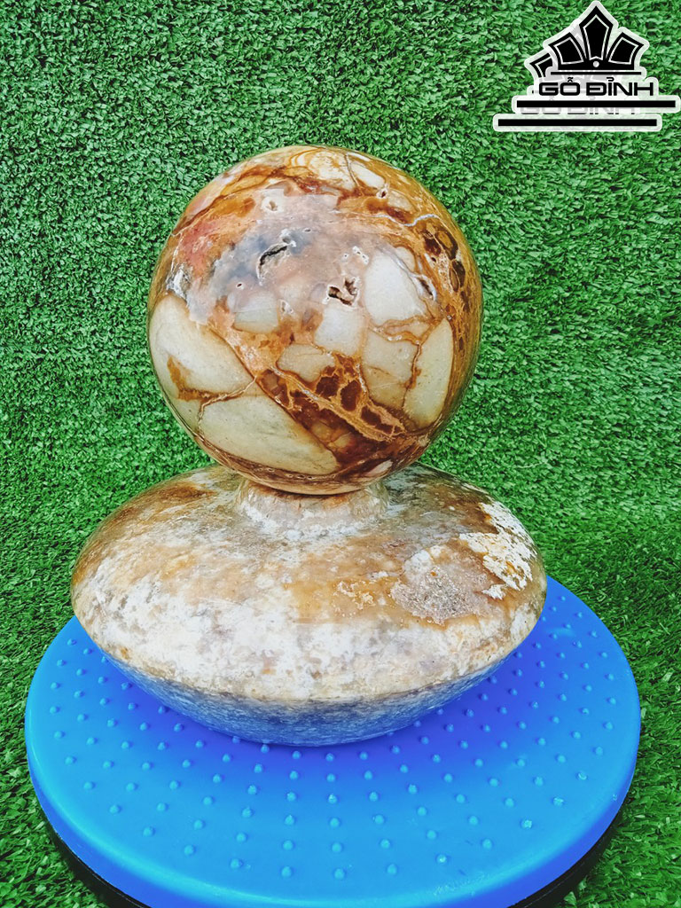 Chum Phú Quý Đá Canxit Cao 8 Đường Kính 18 (cm) 6kg