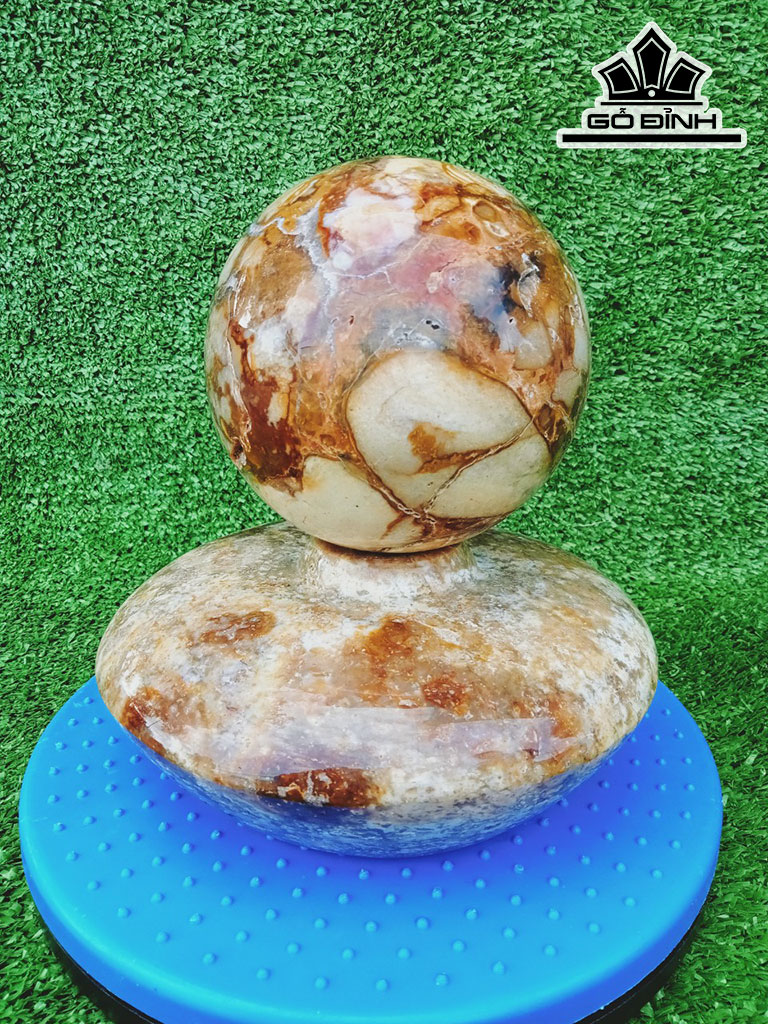 Chum Phú Quý Đá Canxit Cao 8 Đường Kính 18 (cm) 6kg