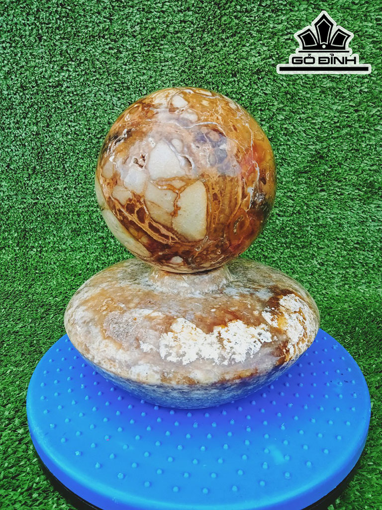 Chum Phú Quý Đá Canxit Cao 8 Đường Kính 18 (cm) 6kg