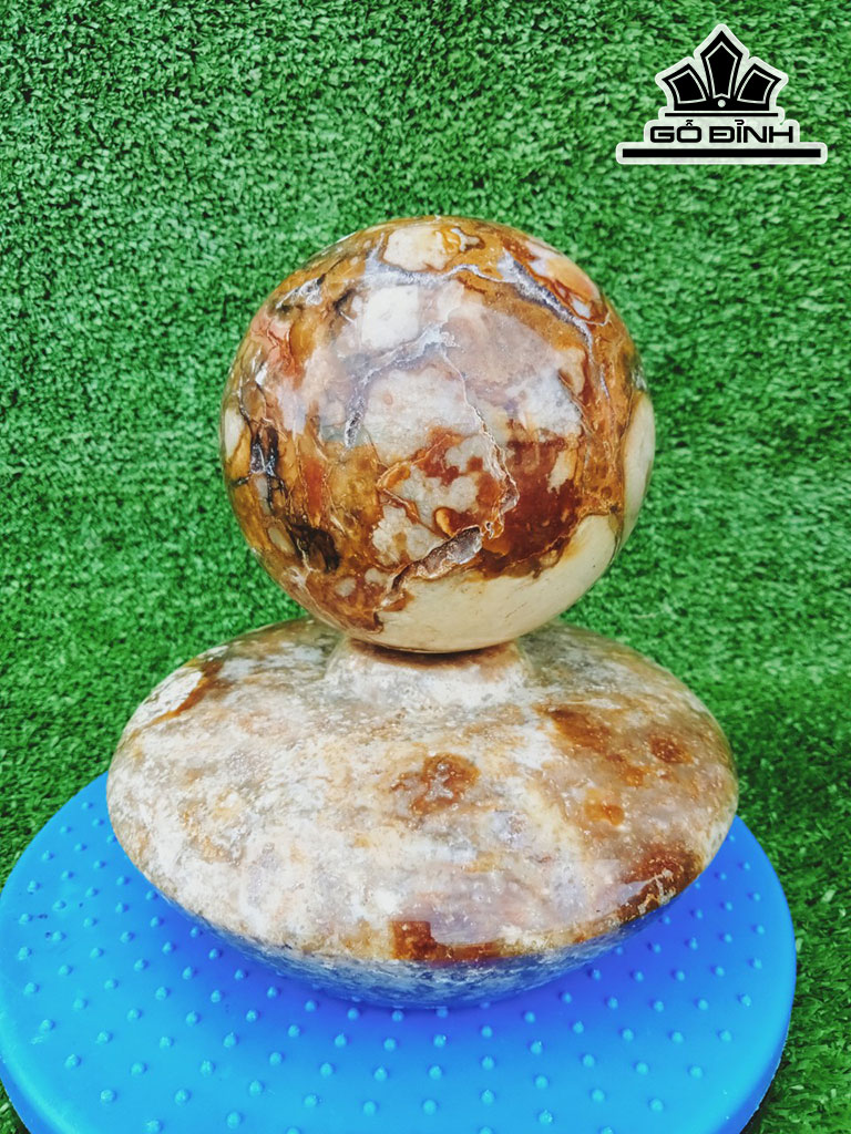 Chum Phú Quý Đá Canxit Cao 8 Đường Kính 18 (cm) 6kg