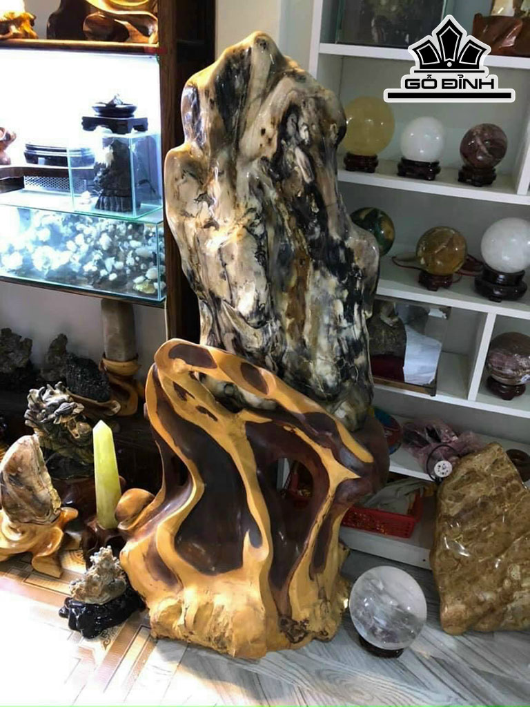Tác Phẩm Gỗ Hóa Thạch Cao 143 Ngang 43 (cm) 100kg