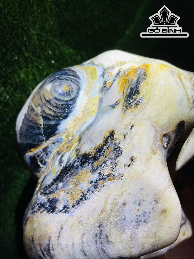 Tác Phẩm Gỗ Hóa Thạch Cao 143 Ngang 43 (cm) 100kg