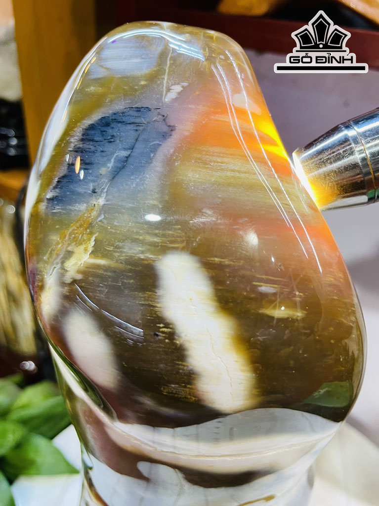 Tác Phẩm Gỗ Hóa Thạch Cao 37 Ngang 14 (cm) 6kg