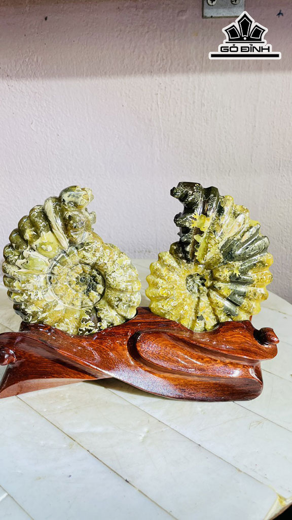 Tác Phẩm Ốc Anh Vũ Hóa Ngọc Cao 17 Ngang 22 (cm) 1,4kg