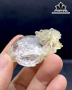 Mặt Dây Chuyền Long Quy Đá Thạch Anh Ưu Linh Cao 48,3 Ngang 31,8 Sâu 21,3 (mm) 211cts
