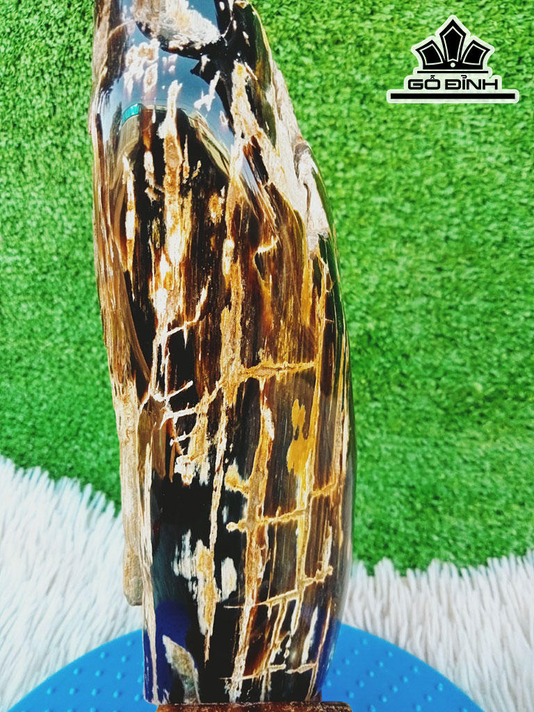 Tác Phẩm Gỗ Hóa Thạch Cao 29 Ngang 8 (cm) 2,5kg