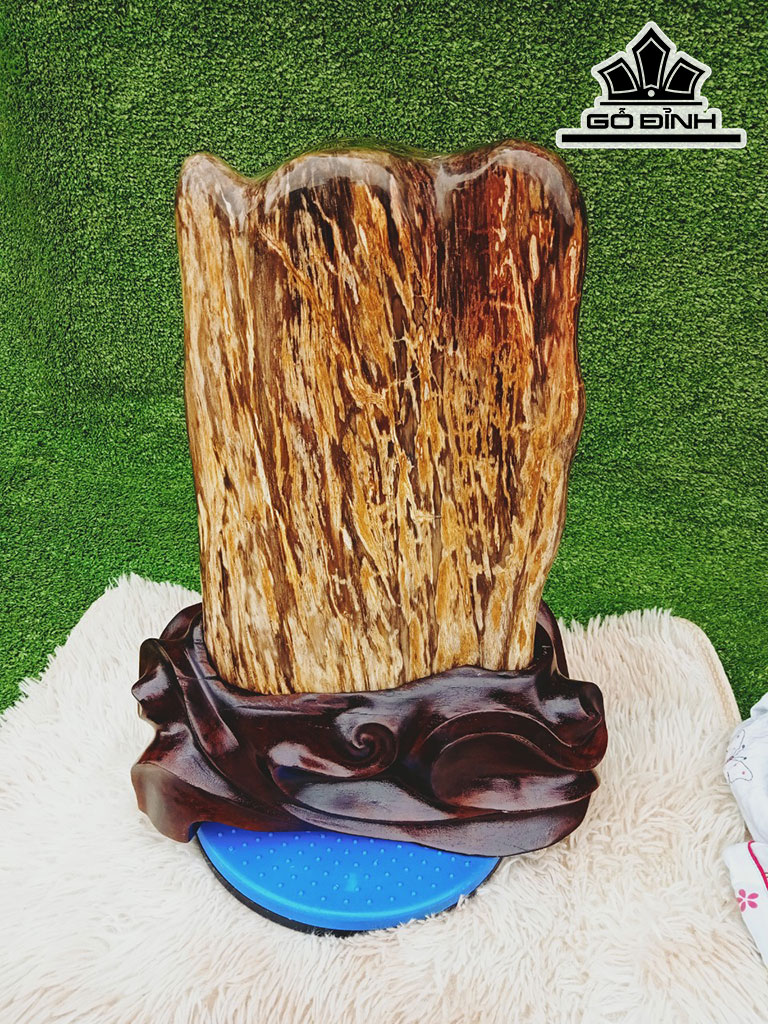 Tác Phẩm Gỗ Hóa Thạch Cao 43 Ngang 22 (cm) 17kg