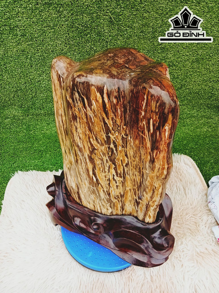 Tác Phẩm Gỗ Hóa Thạch Cao 43 Ngang 22 (cm) 17kg
