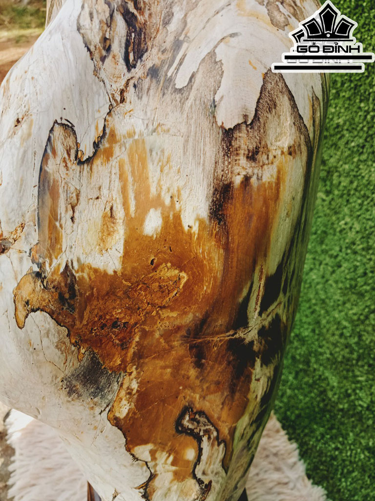 Tác Phẩm Gỗ Hóa Thạch Cao 70 Ngang 38 (cm) 40kg