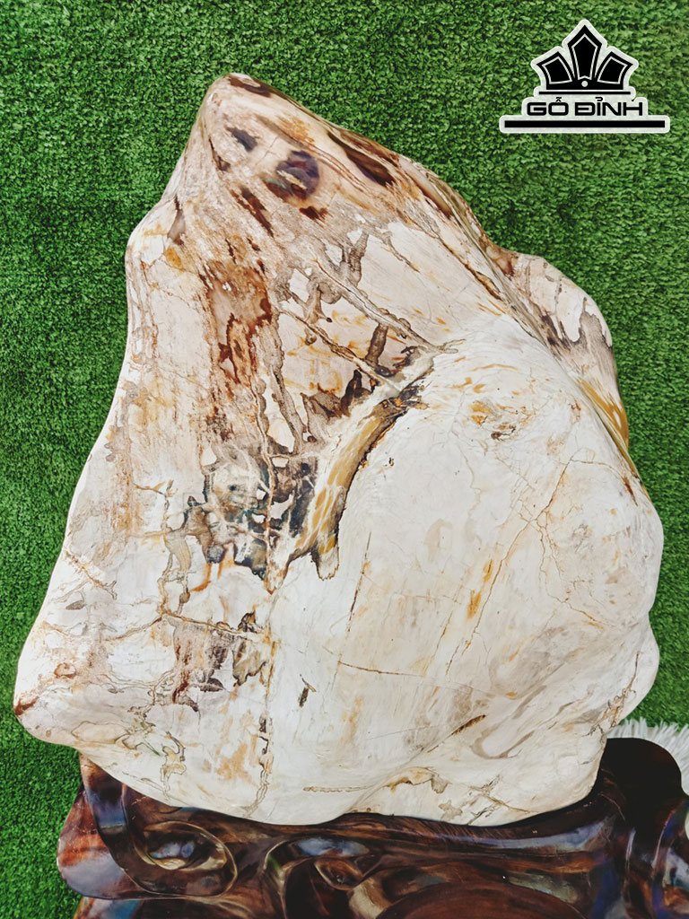Tác Phẩm Gỗ Hóa Thạch Cao 70 Ngang 38 (cm) 40kg