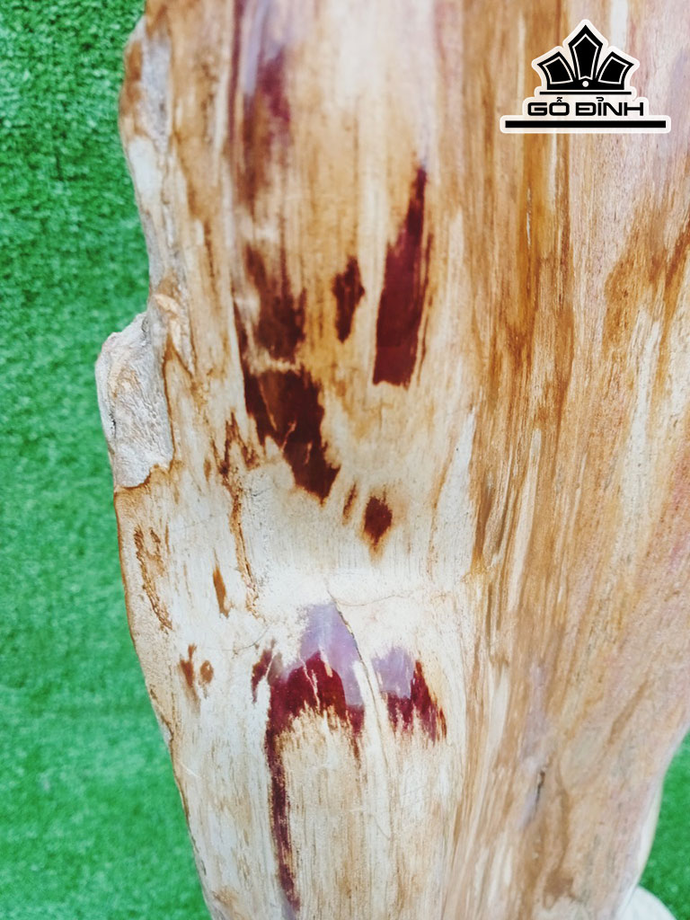 Tác Phẩm Gỗ Hóa Thạch Cao 71 Ngang 15 (cm) 14kg