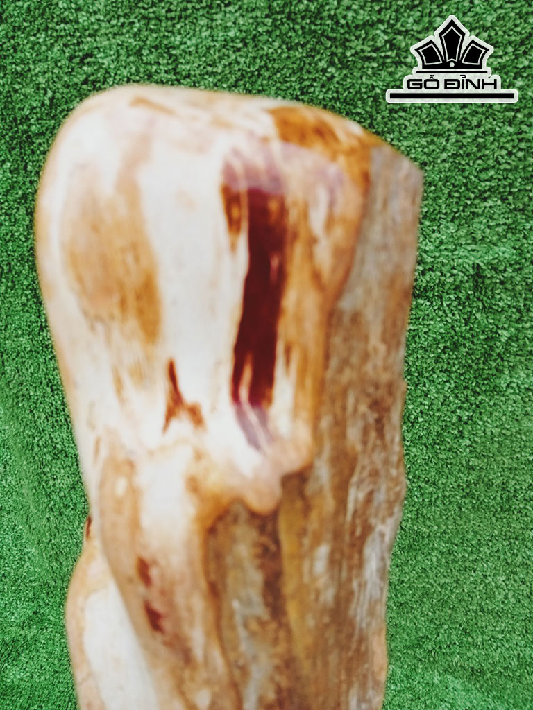 Tác Phẩm Gỗ Hóa Thạch Cao 71 Ngang 15 (cm) 14kg