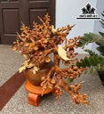 Bình Mai Phú Quý Gỗ Hương Cao 55 Ngang 55 Sâu 35 (cm)