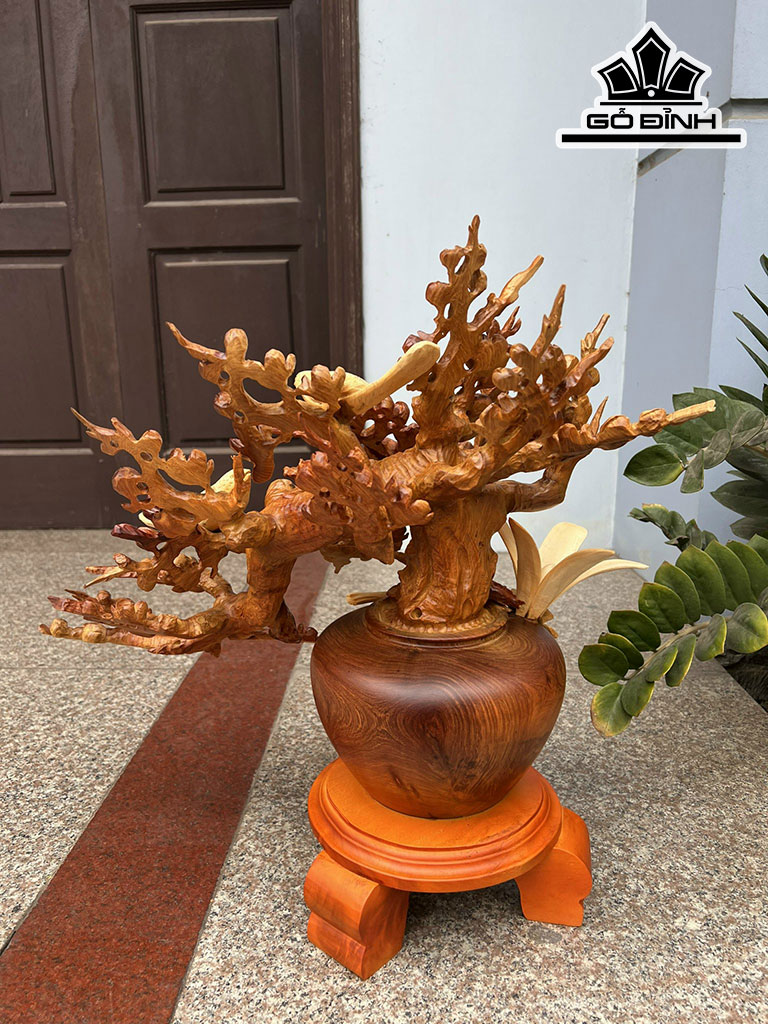 Bình Mai Phú Quý Gỗ Hương Cao 55 Ngang 55 Sâu 35 (cm)