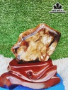 Tác Phẩm Gỗ Hóa Ngọc Cao 22 Ngang 16 (cm) 2,8kg