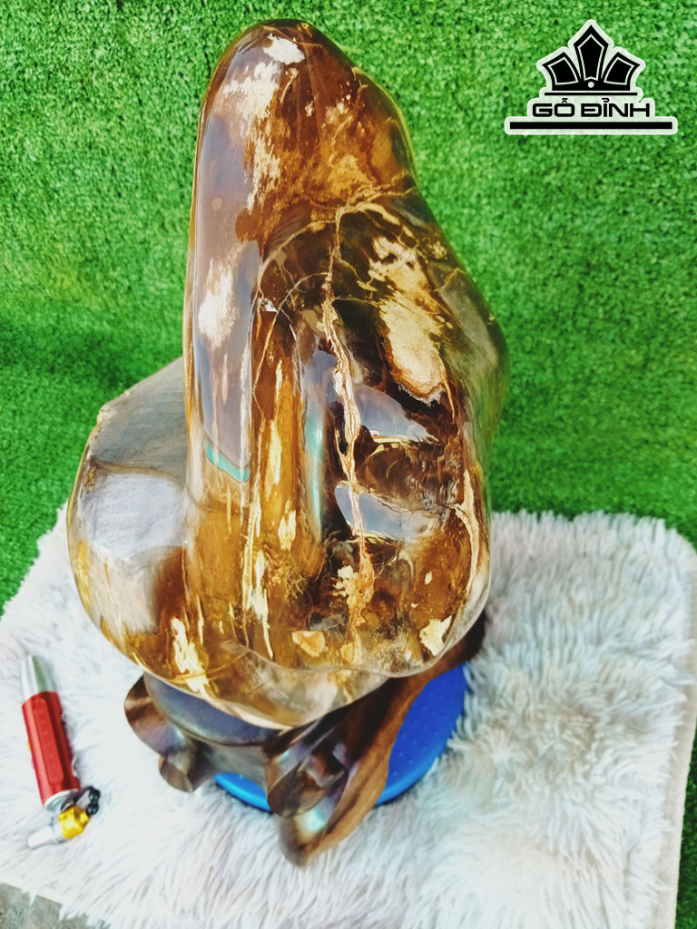 Tác Phẩm Gỗ Hóa Thạch Cao 48 Ngang 25 (cm) 20kg