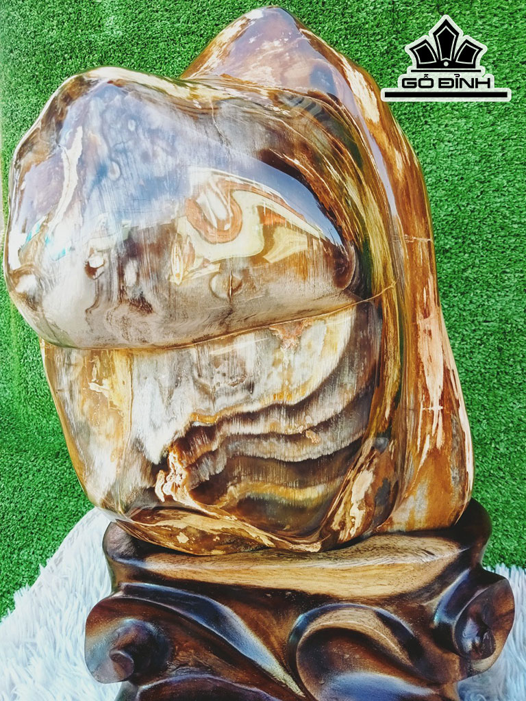 Tác Phẩm Gỗ Hóa Thạch Cao 48 Ngang 25 (cm) 20kg