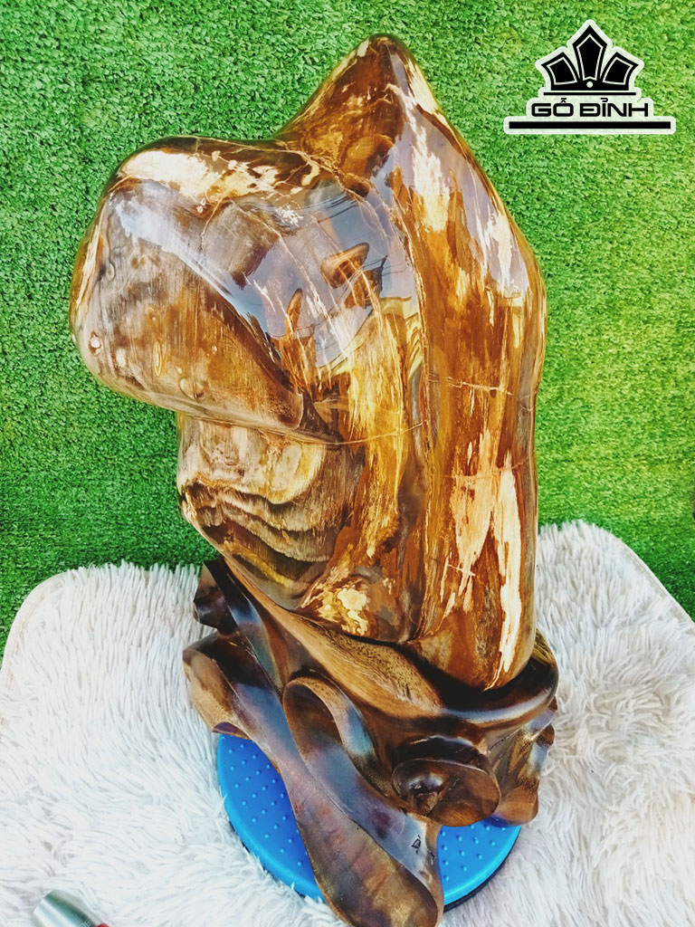 Tác Phẩm Gỗ Hóa Thạch Cao 48 Ngang 25 (cm) 20kg