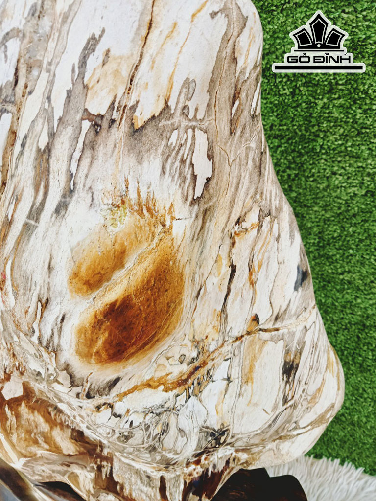 Tác Phẩm Gỗ Hóa Thạch Cao 70 Ngang 38 (cm) 40kg