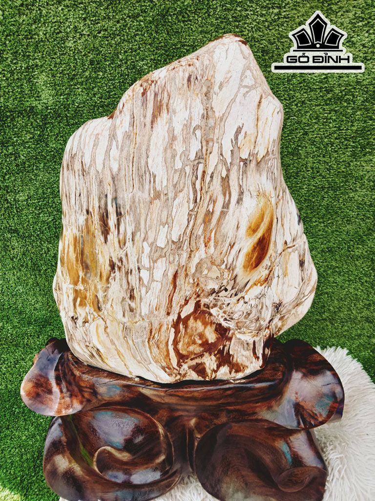 Tác Phẩm Gỗ Hóa Thạch Cao 70 Ngang 38 (cm) 40kg