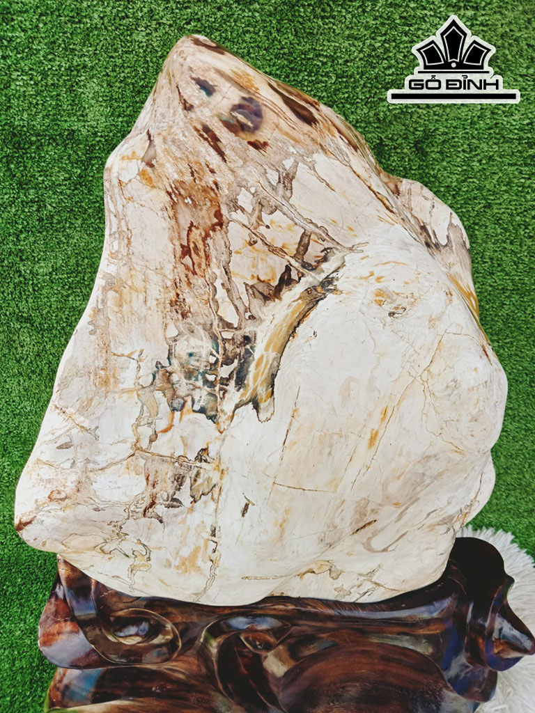 Tác Phẩm Gỗ Hóa Thạch Cao 70 Ngang 38 (cm) 40kg