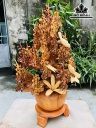 Bình Hoa Gỗ Hương Cao 83 Ngang 52 Sâu 32 (cm)