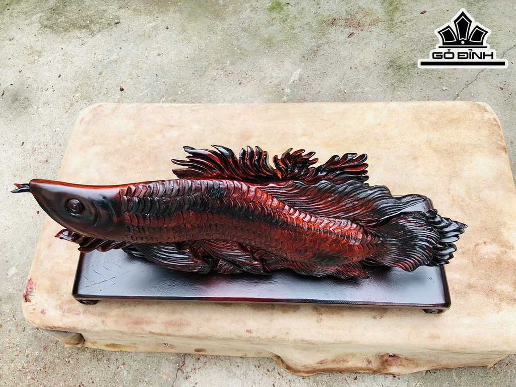 Tượng Cá Kim Long Gỗ Trắc Ngang 47 Cao 25 Sâu 14 (cm)