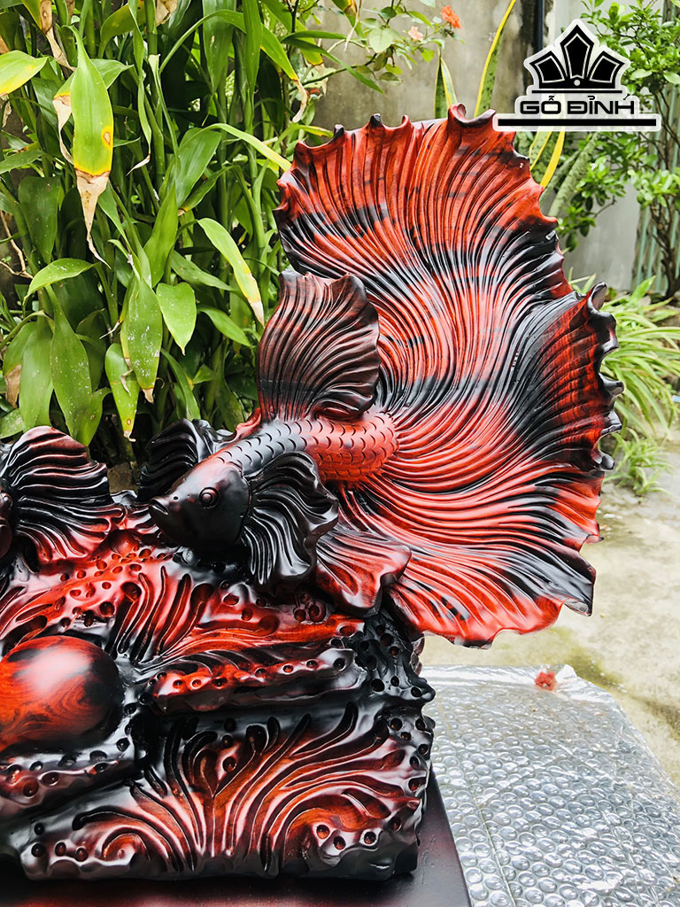 Tượng Cá Xiêm Gỗ Trắc Cao 44 Ngang 56 Sâu 26 (cm)