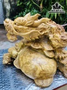 Tượng Long Quy Gỗ Nu Nghiến Ngang 50 Cao 28 Sâu 43 (cm)