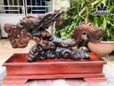 Tượng Nhất Long Gỗ Trắc Ngang 57 Cao 41 Sâu 15 (cm)