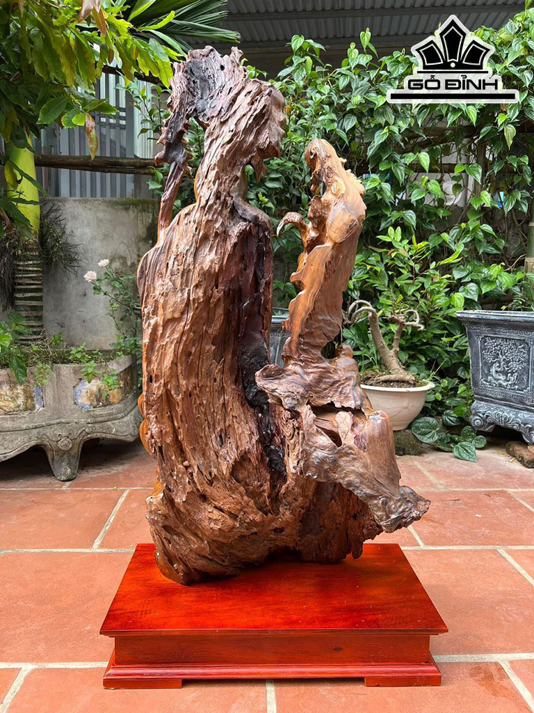 Tượng Ông Thọ Gỗ Bách Xanh Cao 96 Ngang 50 Sâu 25 (cm)