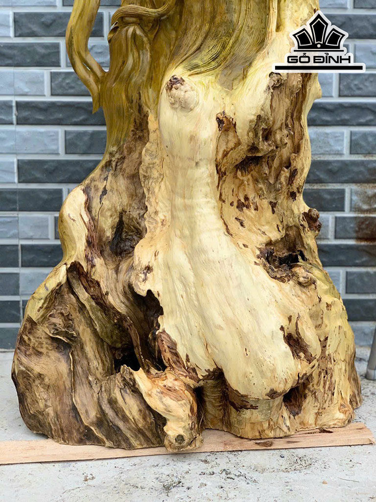 Tượng Ông Thọ Gỗ Nu Giáng Hương Cao 109 Ngang 64 Sâu 28 (cm)