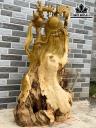 Tượng Ông Thọ Gỗ Nu Giáng Hương Cao 109 Ngang 64 Sâu 28 (cm)