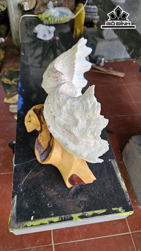 Tác Phẩm Cặp Sò Hóa Thạch Cao 41 Ngang 35 (cm) 10kg
