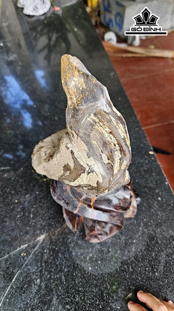 Tác Phẩm Gỗ Hóa Thạch Cao 32 Ngang 11 (cm) 3kg