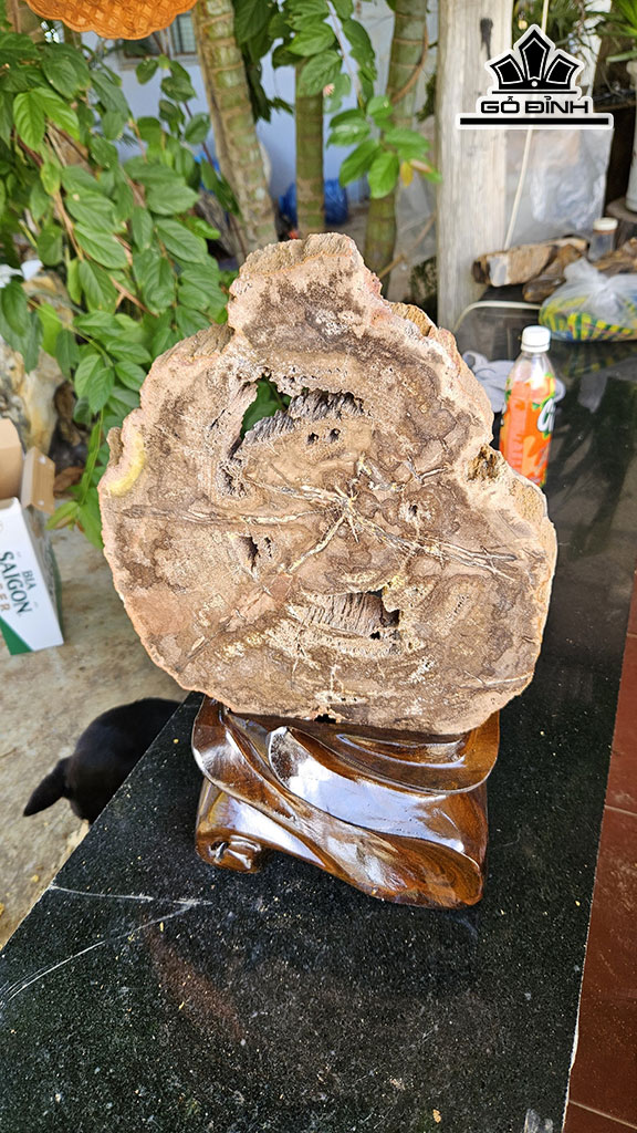 Tác Phẩm Gỗ Hóa Thạch Cao 45 Ngang 26 (cm) 9kg