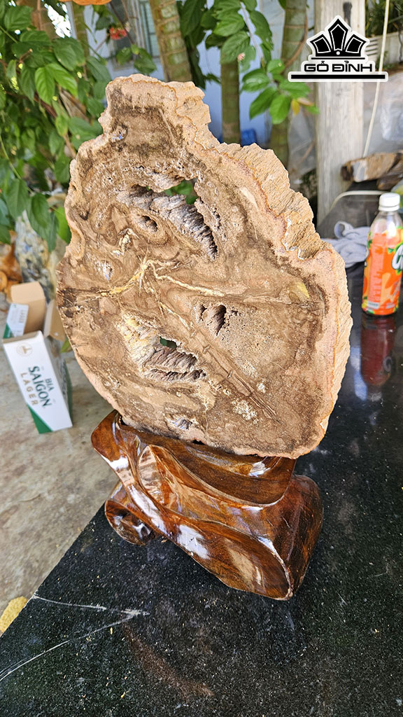 Tác Phẩm Gỗ Hóa Thạch Cao 45 Ngang 26 (cm) 9kg