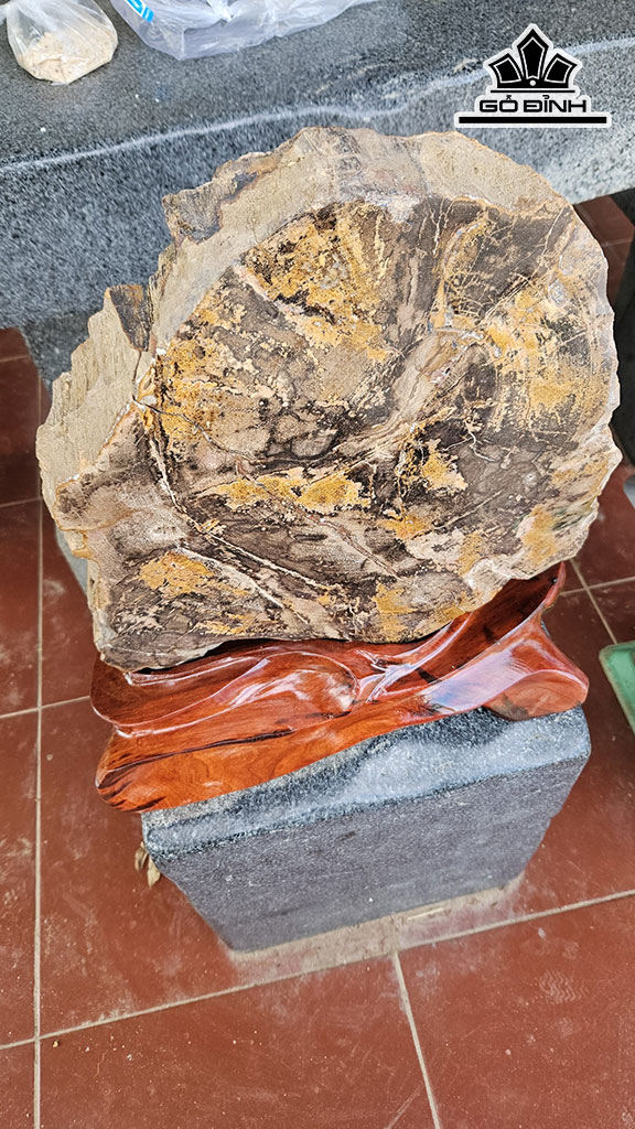 Tác Phẩm Gỗ Hóa Thạch Đường Kính 30 (cm) 16,5kg