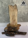 Tác Phẩm Gỗ Hóa Thạch Cao 36 Ngang 33 Sâu 12 (cm) 3kg