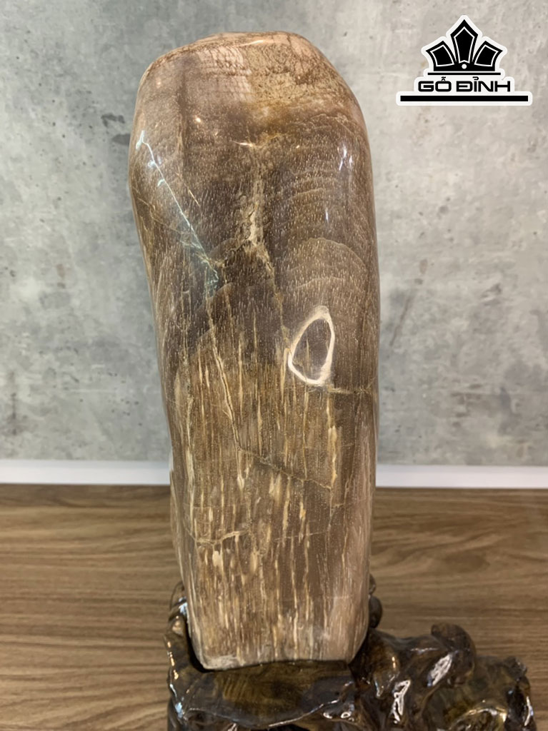 Tác Phẩm Gỗ Hóa Thạch Cao 45 Ngang 28 (cm) 4kg
