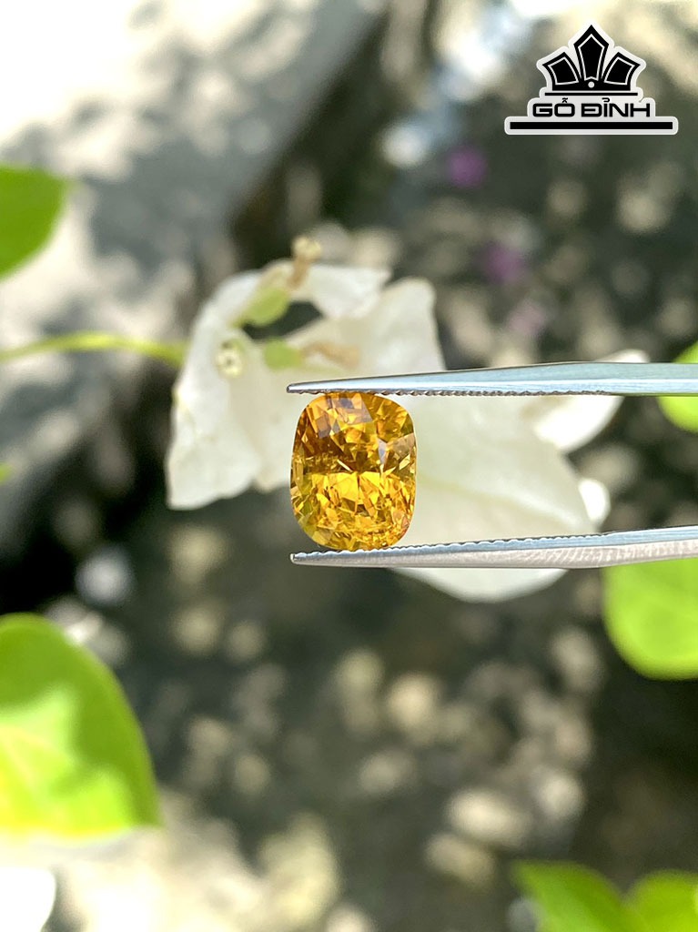 Viên Ngọc Đá Tourmaline Cao 9,3 Ngang 7,5 Sâu 7 (mm) 2,95cts