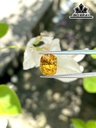 Viên Ngọc Đá Tourmaline Cao 9,3 Ngang 7,5 Sâu 7 (mm) 2,95cts