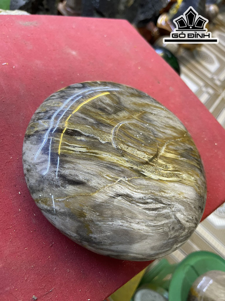 Chum Phú Quý Gỗ Hóa Thạch Đường Kính 16 (cm)