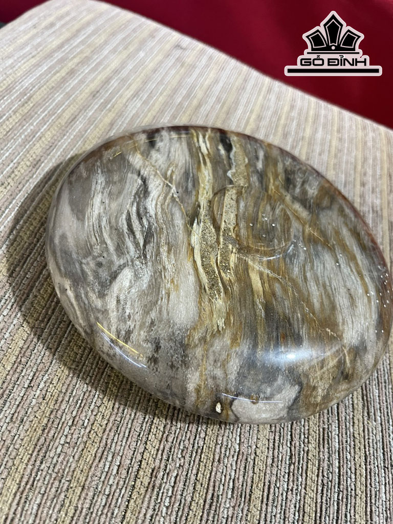 Chum Phú Quý Gỗ Hóa Thạch Đường Kính 16 (cm)